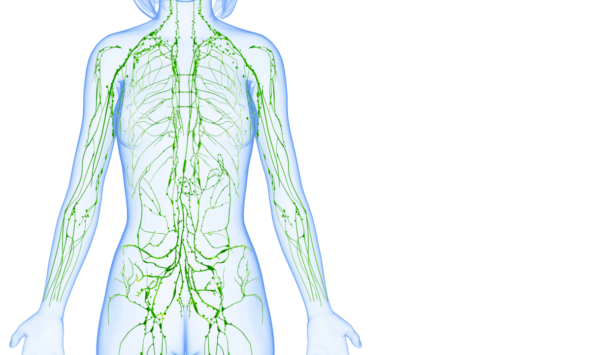 Lymphatic Drainage